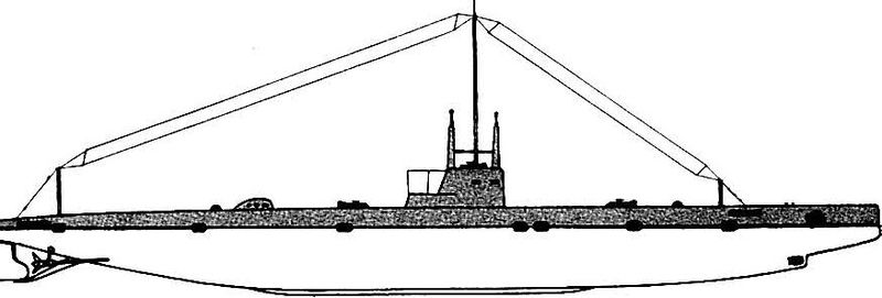 Datei:Type-medusa.jpg