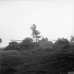 Sherman_Firefly_(3).jpg