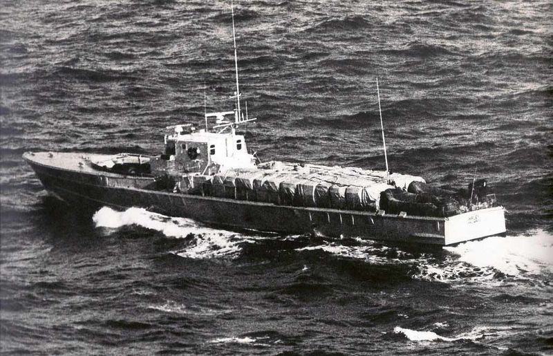 File:Haley (Elster P6088).jpg