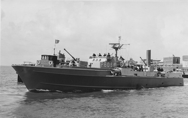 File:Fuchs P6066.jpg