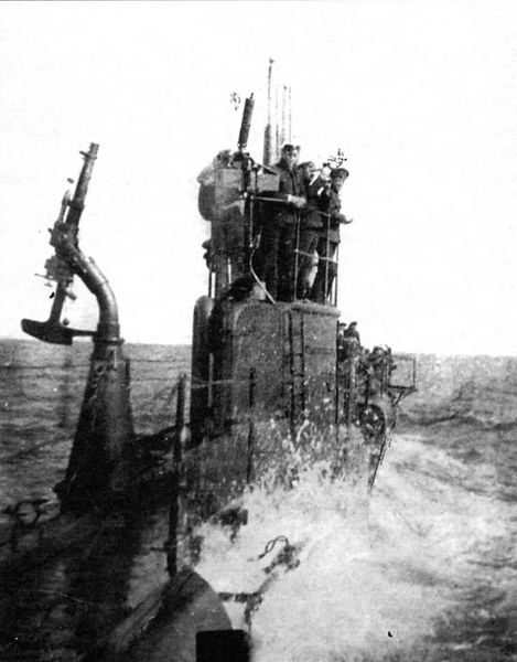 File:Тюлень 16.jpg