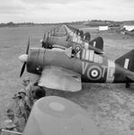 Brewster_F2A_Buffalo_(2).jpg