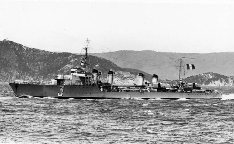 Plik:Albatros.jpg