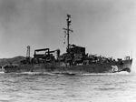 Apd-79-bunch-00082683.jpg
