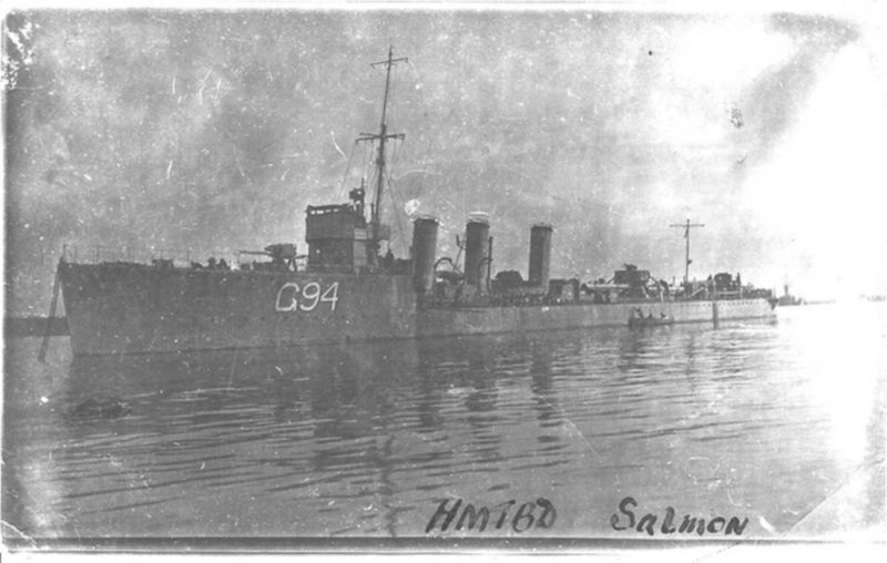 Datei:Salmon.jpg
