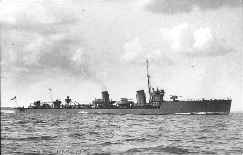 Datei:Urchin.jpg