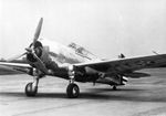 XP-36F.jpg