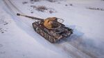 Germany-Skorpion-Igelschnäuzchen_3.jpeg
