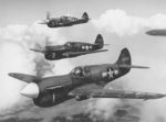 Hawk_87.jpg