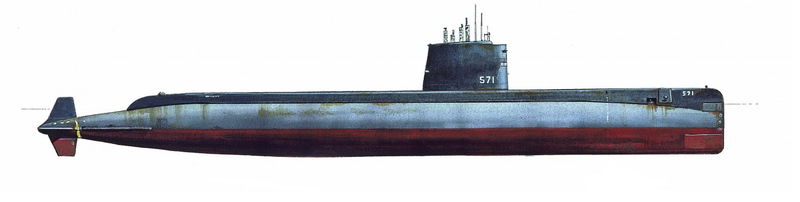 Archivo:Nautilus.png