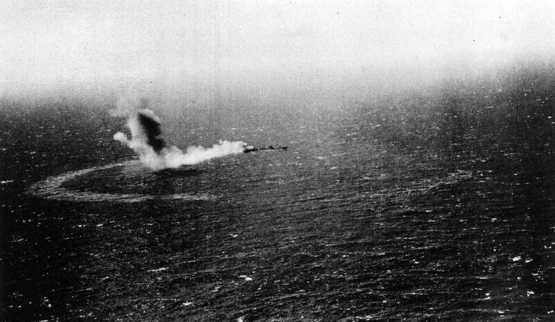 Datei:Coral Sea 10.jpg