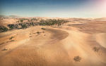 Desert screen.jpg