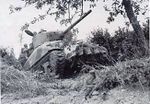 Bocagesherman.jpg