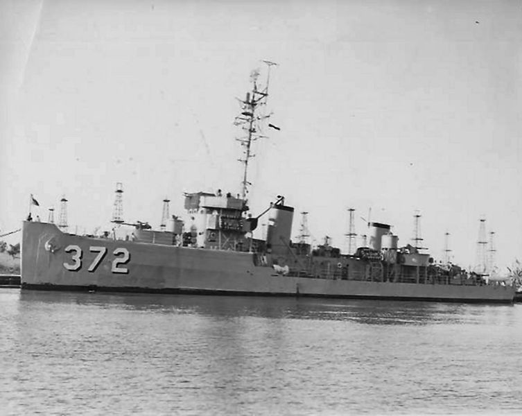 Datei:Murrelet.jpg