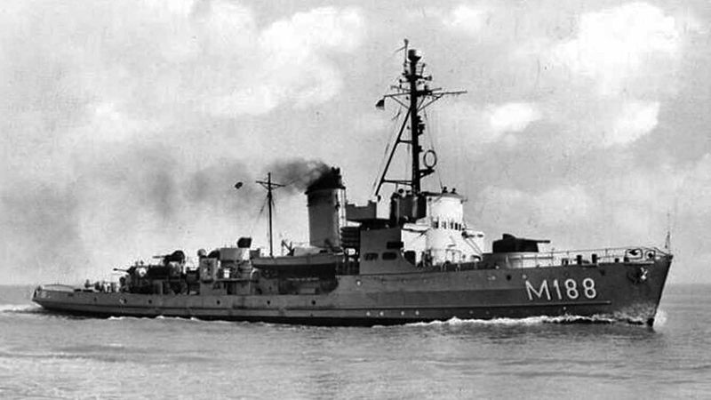 File:Seeigel M188.jpg