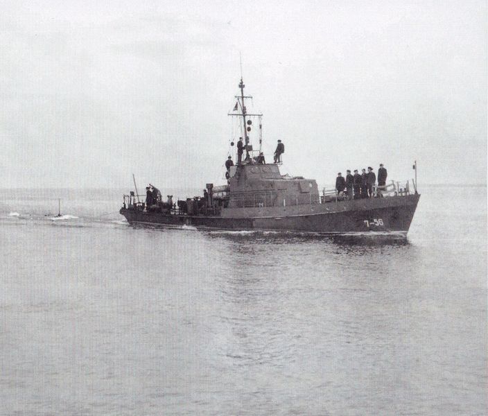 File:7-56 тип Schwalbe.jpg