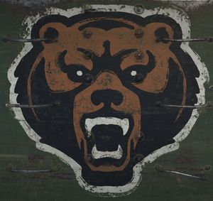 Медведь.jpg