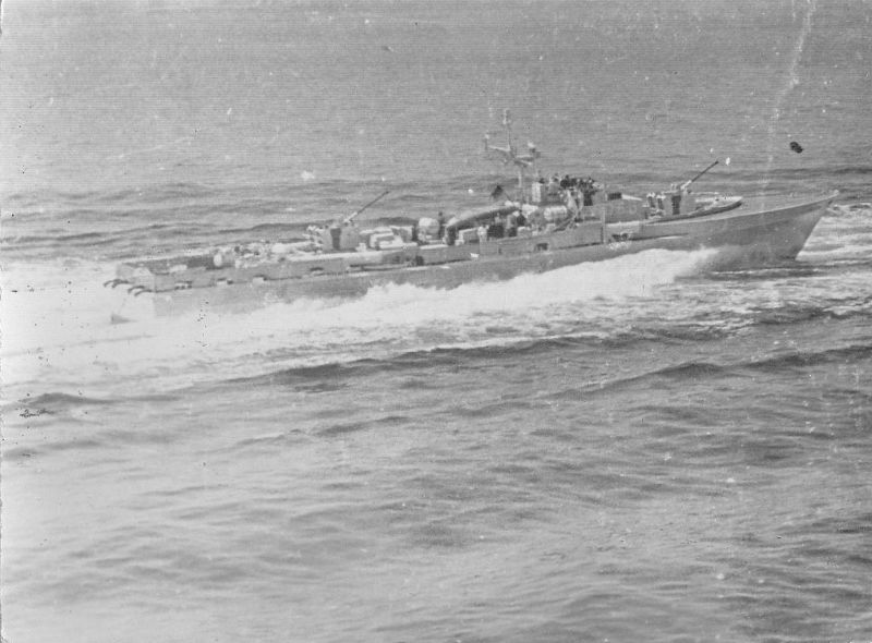 File:Seeadler P6068.jpg
