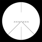 Slf_ZF_5.jpg