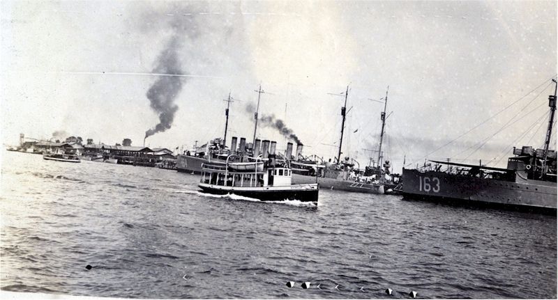 Plik:0516308.jpg