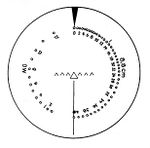 Slf_zf_5.jpg