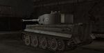 Tiger_shot4.JPG