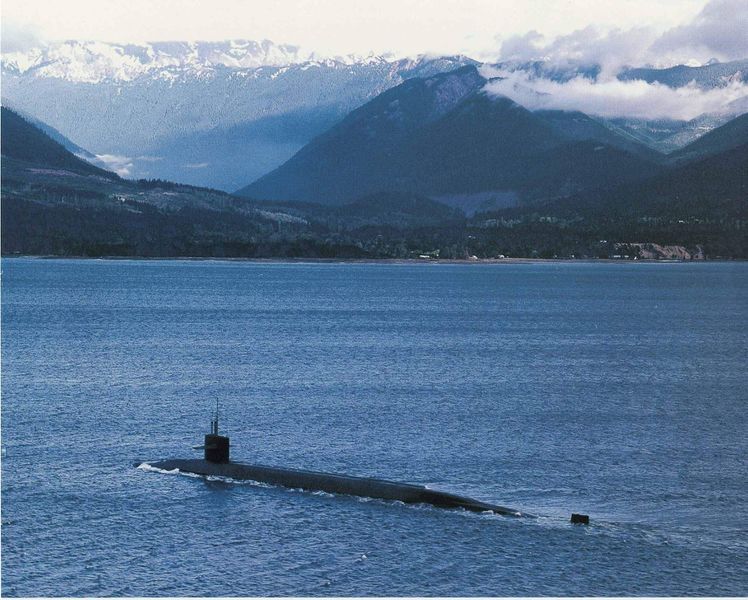Plik:SSBN-733.jpg
