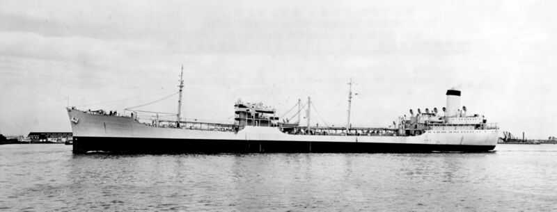 Datei:Coral Sea 08.jpg