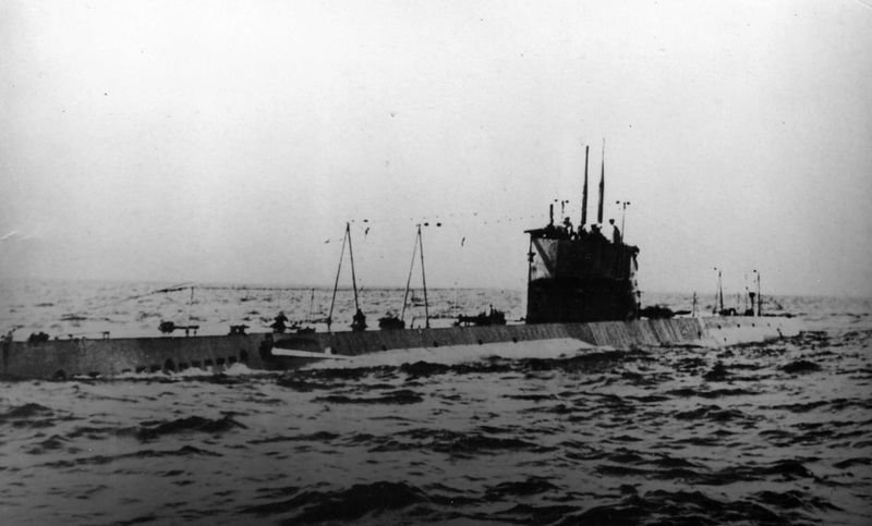 Datei:D4 1.jpg