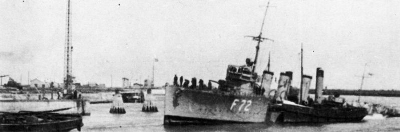 Datei:Tarpon.jpg