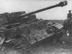 Ferd_hist5.jpg