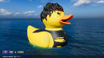 Update-122-Furo.jpg
