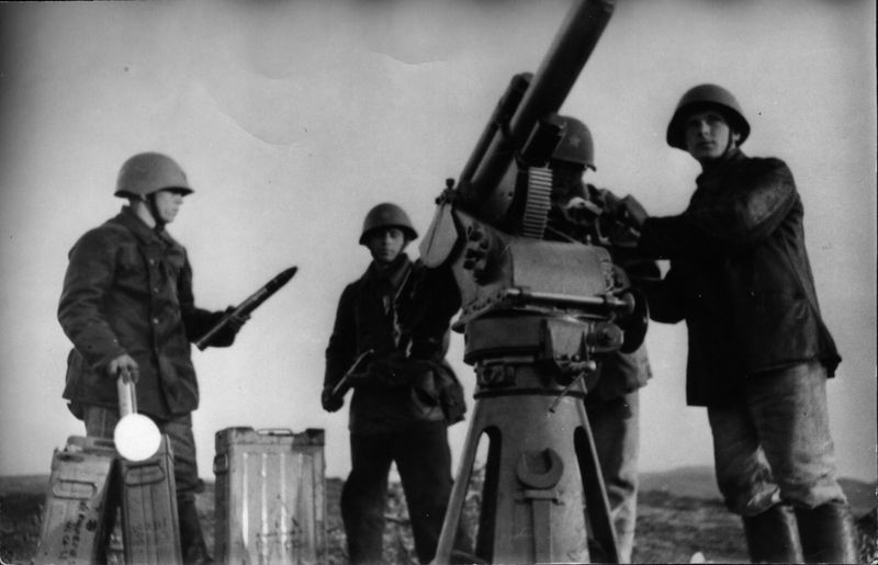 File:М-172орудие.jpg