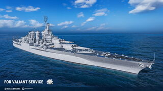 Camouflage_PCEC125_For_Valiant_Service.jpeg