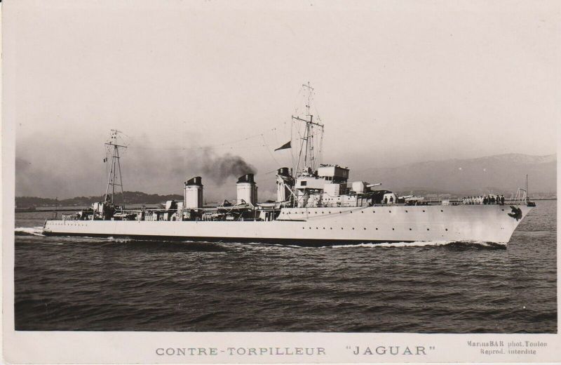 Plik:Jaguar 100a.jpg