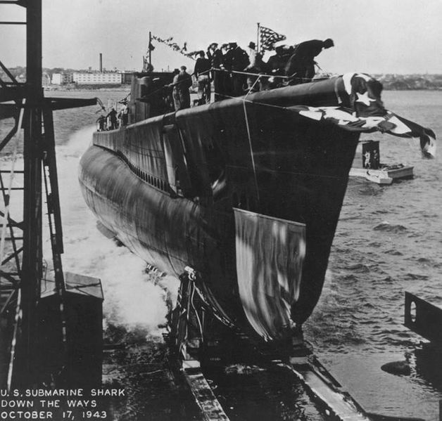Plik:SS-314.jpg