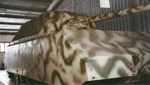 180px-Maus_in_Kubinka_museum.jpg