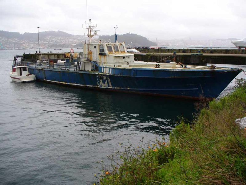 File:Jennifer P 6099.jpg