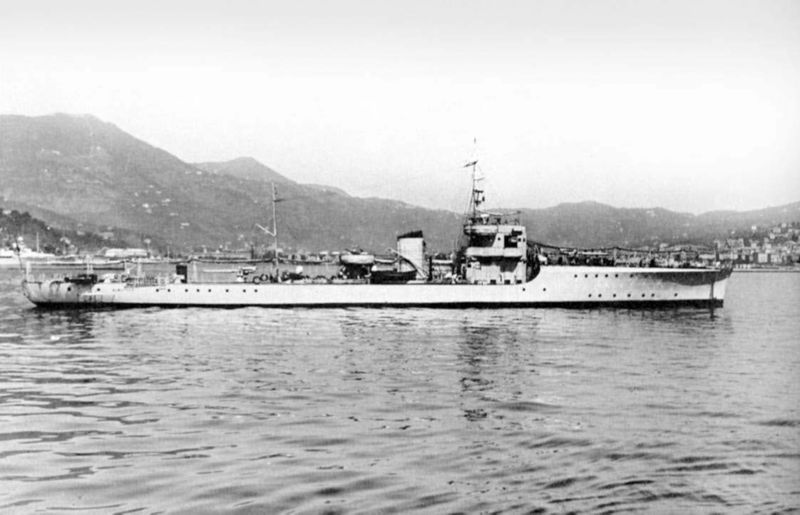 파일:Albatros Pic 06.jpg
