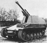 Wespe_hist1.jpg