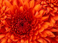 Thumbnail for version as of 09:20, 6 November 2013