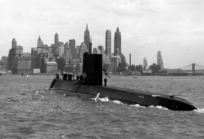 Datei:Nautilus6.jpg