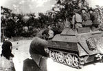 Dumitru.jpg