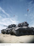 Ram_II_(2).jpg