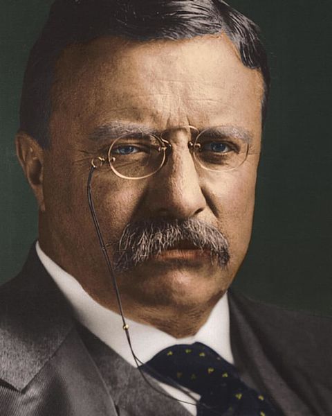 Plik:Theodore-roosevelt-sagamore-hill.jpg