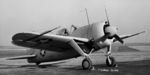 Brewster_F2A_Buffalo.jpg