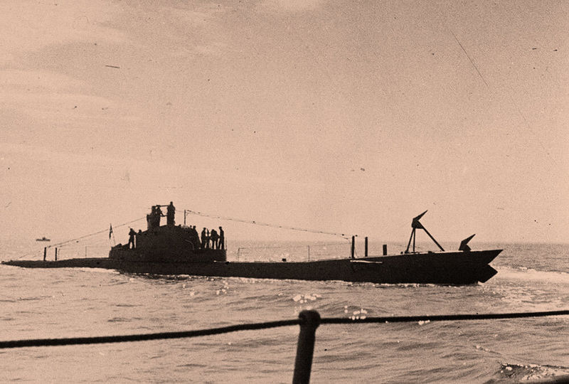 Plik:Sha 215 krab.jpg