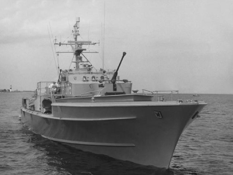 File:Habicht P6075.jpg