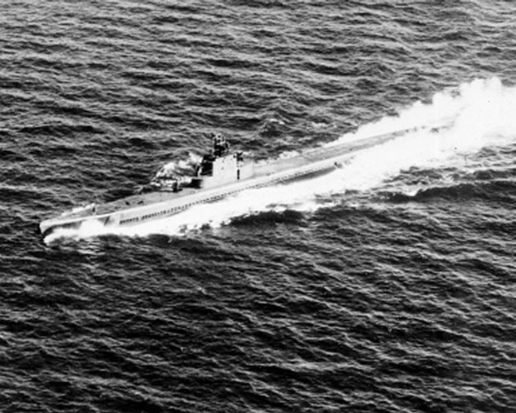 Arquivo:Snook SS-279 (9).jpg