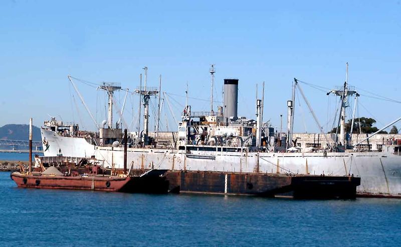 File:Red oak hidef1.jpg